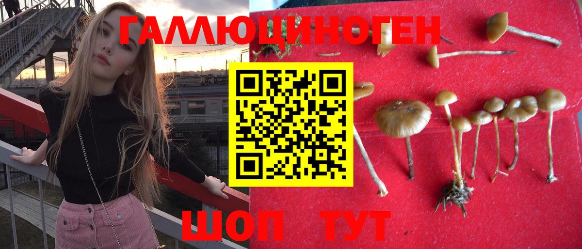хочу наркоту  Вход с VPN  Кушва  Псилоцибиновые грибы мицелий 